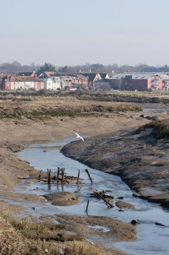 0947-021-seagull-over-roman-river-at-very-low-tide