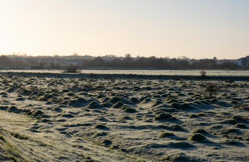 0972a-014-fields-alongside-the-colne-river-path