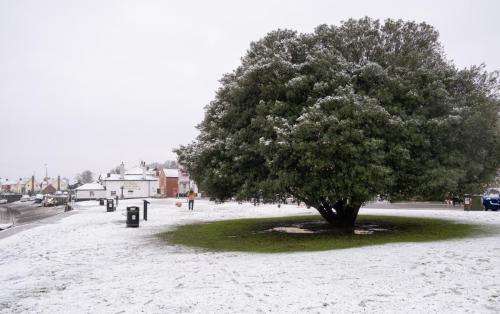0982-010-lion-quay-in-the-snow