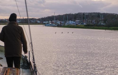 1018-010-approaching-rowhedge