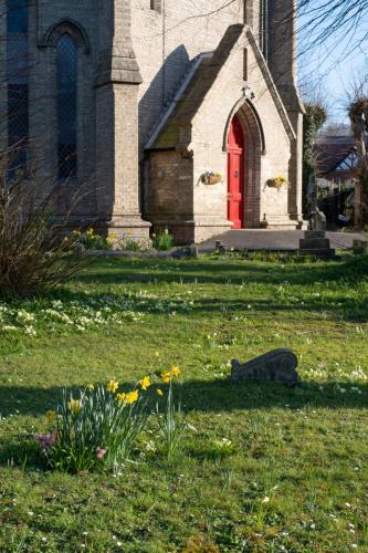 dscf7510-spring-flowers-in-the-churchyard