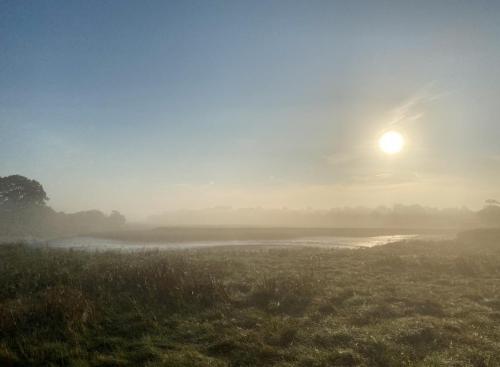 river-path-to-fingringhoe-on-a-misty-morning