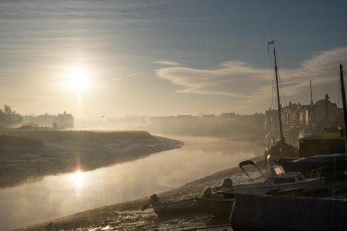 rowhedge-on-a-misty-november-morning-001
