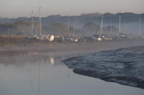 rowhedge-on-a-misty-november-morning-005